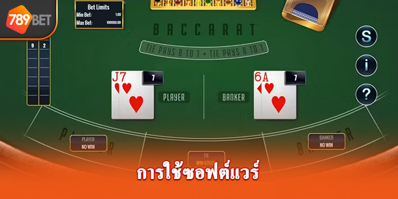 การใช้ซอฟต์แวร์