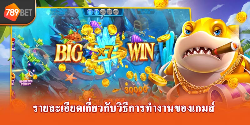 รายละเอียดเกี่ยวกับวิธีการทำงานของเกมส์